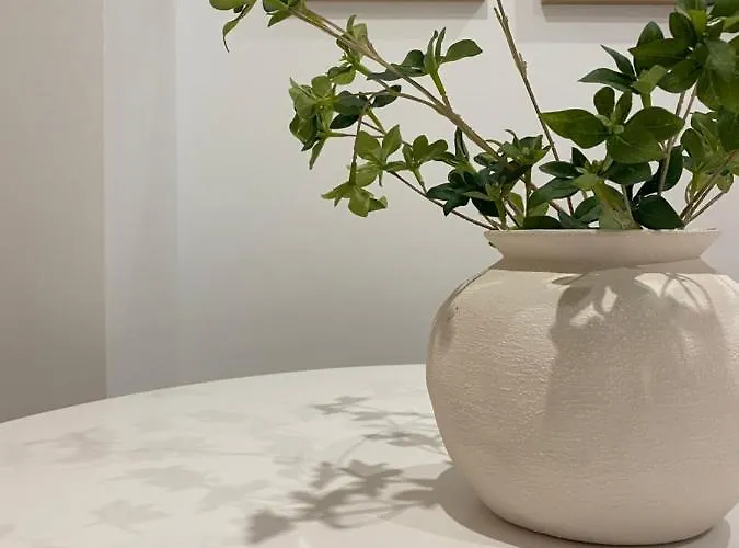 Smart Cordoba, Zona Centro *