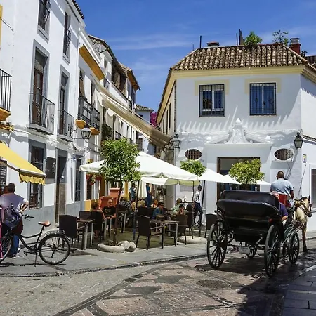 Smart Cordoba, Zona Centro *